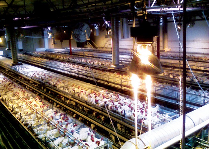 BioAgri 020